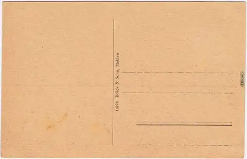 Ansichtskarte Stolpen Villen - Stadtansicht 1918