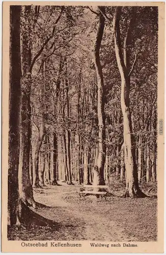 Ansichtskarte Kellenhusen (Ostsee) Waldweg nach Dame 1916
