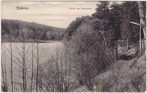 Tiefensee Werneuchen Partie am Gamensee b Berlin Ansichtskarte 1909