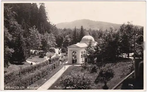 Marienbad Mariánské Lázně Waldquelle Foto Ansichtskarte 1929