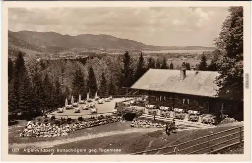 Egern Rottach Egern Alpenwildpark - Gasthaus Foto Ansichtskarte 1935