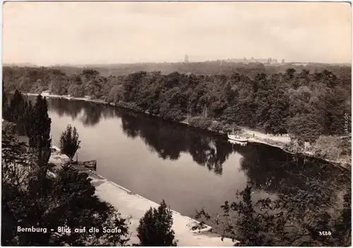 Bernburg (Saale) Blick auf die Saale Foto Ansichtskarte  1961