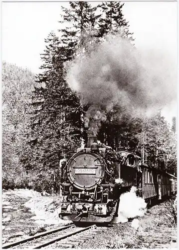 Kipsdorf Altenberg (Erzgebirge) Schmalspurbahn Freital-Hainsberg   1983