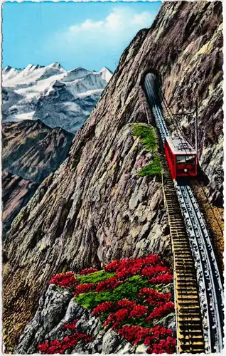 Ansichtskarte Luzern Lucerna Pilatusbahn, Eselwand und Berneralpen 1966