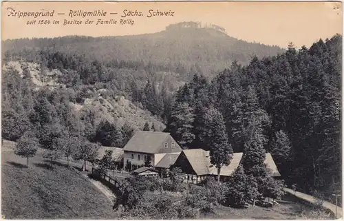 Krippen Bad Schandau Krippengrund, Röllingmühle Ansichtskarte  1926