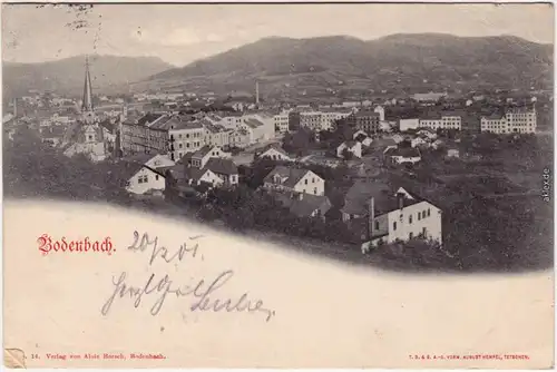 Ansichtskarte Tetschen Bodenbach Decín Blick über die Stadt - Kirche 1901