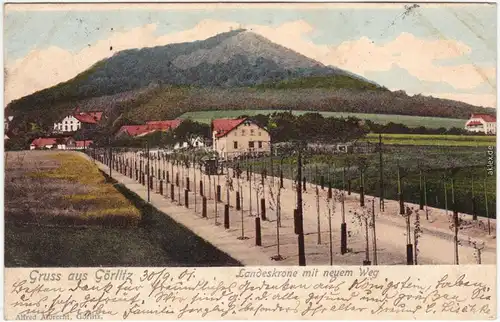 Görlitz Zgorzelec Landeskrone - neuer Weg (Neupflanzung) colorierte AK  1901