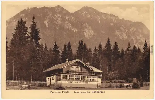 Ansichtskarte Neuhaus Schliersee Partie an der Pension Fehle 1918