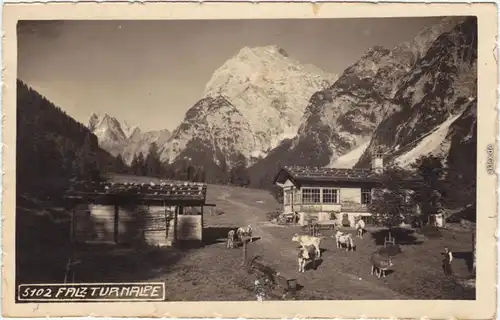 Pertisau Eben am Achensee Falzhurnalpe am Achensee 1932 