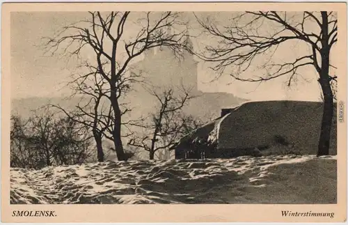 Smolensk Смоленск Winterstimmung - Kathedrale 1940 