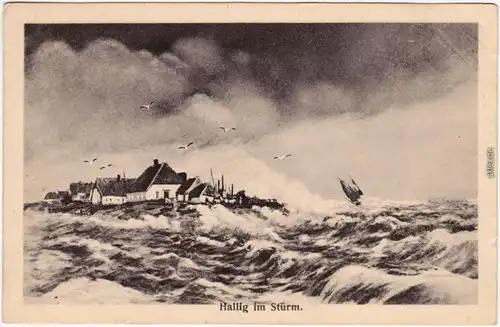 Ansichtskarte Hallig Hooge Künstlerkarte: Hallig bei Strum 1922