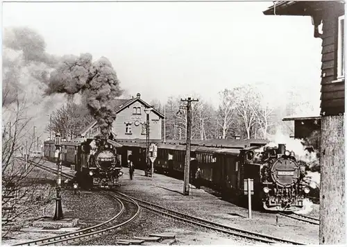 Bertsdorf-Hörnitz Dampflokomotiven - Bahnhof Fotokarte Oberlausitz  1982