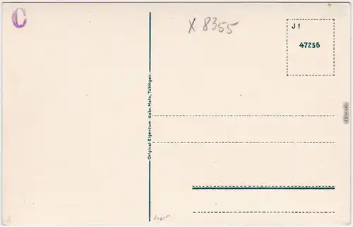 Sebnitz Neustadt Sachsen Partie am Restaurant Ungerberg 1918