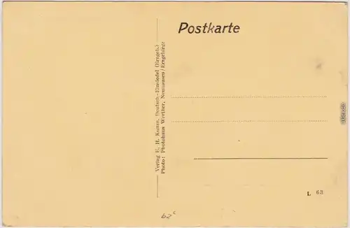 Deutscheinsiedel Deutschneudorf Dorfpartie Ansichtskarte  Erzgebirge 1916