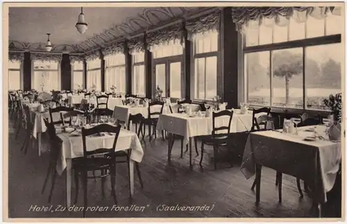 Ilsenburg (Harz) Hotel "Zu den roten Forellen" Ansichtskarte 1928