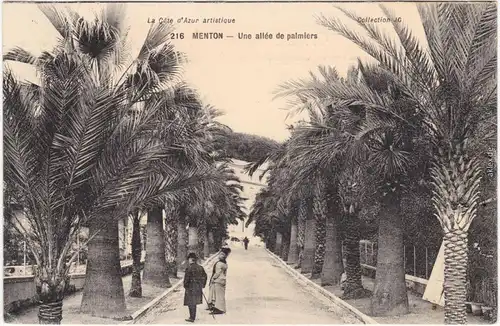 Menton Mentoun/ Mentone Une allée de palmiers CPA Alpes-Maritime  1909