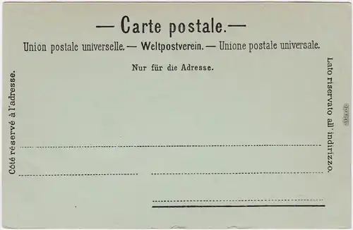 Ansichtskarte Lausanne Panorama - Mondscheinlitho 1903