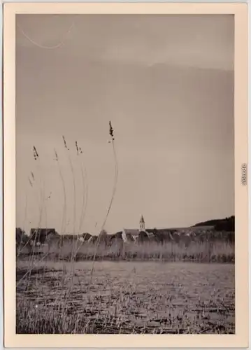 Illmensee am Illmensee 1954 Privatfoto Ansichtskarte