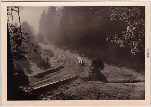 _Baden-Württemberg  Morgenstimmung im Schwarzwald bei Triberg 1954 Privatfoto