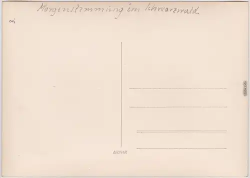 _Baden-Württemberg  Morgenstimmung im Schwarzwald bei Triberg 1954 Privatfoto