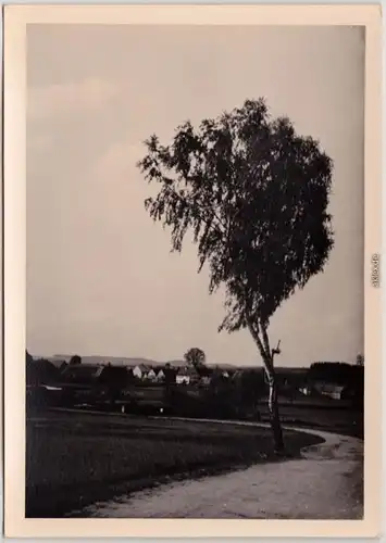 Nördlingen Birkenweg im Frankenland Nördlingen und Dinkelsbühl 1954 Privatfoto