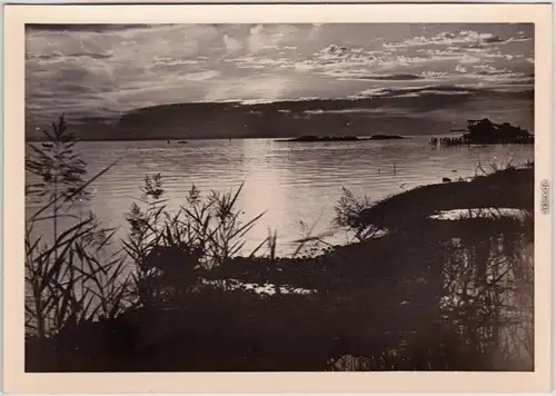 Privatfotokarte  Lindau (Bodensee) Abenstimmung am Bodensee 1954