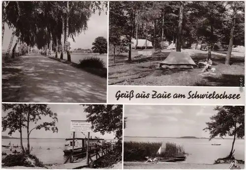 Zaue Schwielochsee Cowje Am Schwielochsee Foto Ansichtskarte 1978