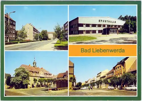 Ansichtskarte Bad Liebenwerda Sporthalle, Rathaus, Straßen 1989