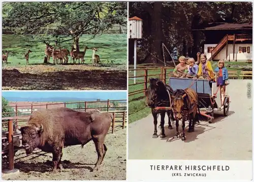 Ansichtskarte Voigtsgrün Hirschfeld Tierpark Hirschfeld, belebt 1979