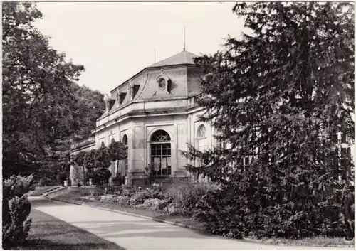 Dresden Dresden Orangerie im Schloß Pillnitz 1971