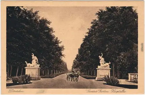 Dresden Großer Garten Hauptallee beim Palais mit Kutsche 1900
