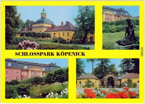 Köpenick Berlin Schlosspark Köpenick Ansichtskarte 1979