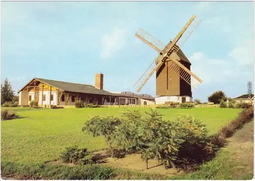 Fahrland Potsdam Windmühle mit Grillrestaurant "Mühlenbaude" 1980