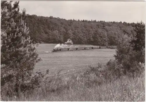  Schmalspurbahn Putbus-Göhren, Personenzug bei Seelvitz (Juni 1971) 1984