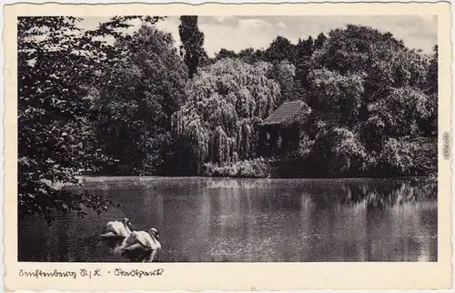 Senftenberg (Niederlausitz) Zły komorów Stadtpark mit Pavillon 1939 