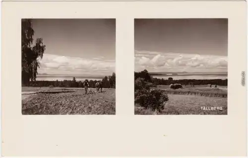 Leksand Blick vom Tällberg auf Siljan (See), Bauer mit Pferdeflug(1) und  1930
