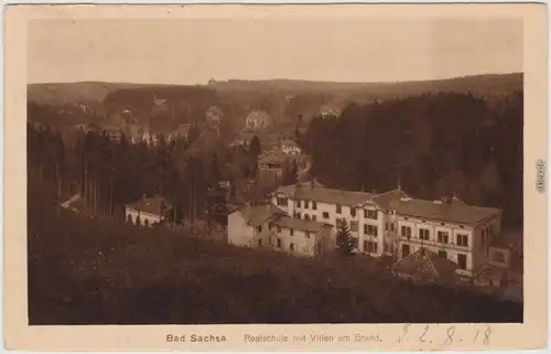 Ansichtskarte Bad Sachsa Realschule mit Villen am Brand 1918