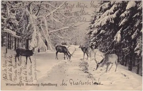 Ansichtskarte Friedrichroda Winteridyll - Rehe Heuberg Spielberg 1914