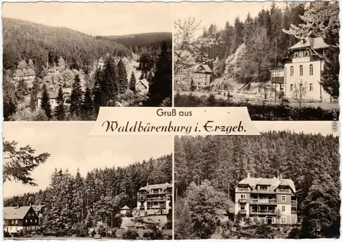 Waldbärenburg Altenberg (Erzgebirge) Panorama-Ansichten 1963