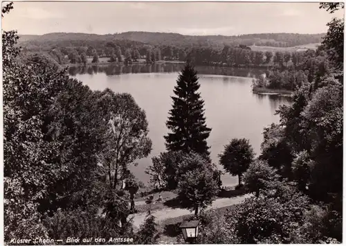 Chorin Blick auf den Amtssee 1962 