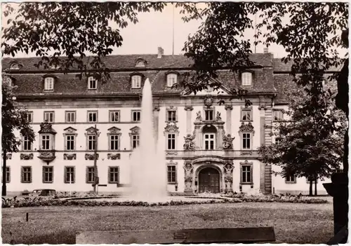 Foto Ansichtskarte Erfurt ehemaliges Kurmainzisches Statthalterpalais 1961