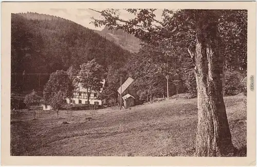 Zöblitz Jugendherberge "Hüttstadtmühle" Erzgebirge Ansichtskarte 1928