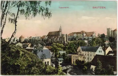 Bautzen Budyšin Totalansicht - Blick zum Dom über die stadt hinweg 1908