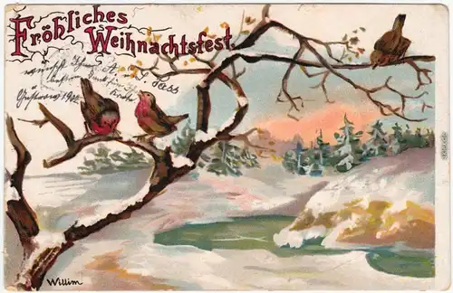 Weinachten Winterliche Szene mit Spatzen (künstlerkarte signiert Willim)1902