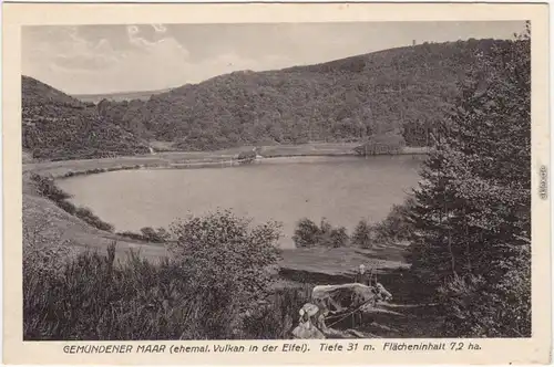 Gemünden Daun Gemündener Maar   Eifel). - Tiefe 31m - Flächeninhalt 7,2 ha 1922
