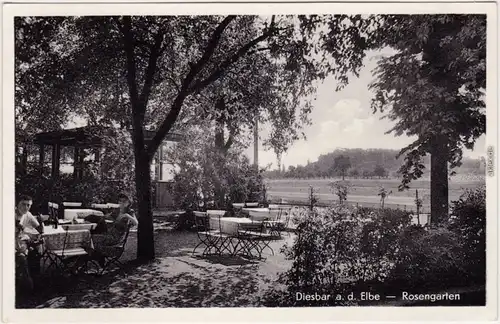 Diesbar (Elbe) Nünchritz (Elbe) Rosengarten Restauration b Meißen 1959