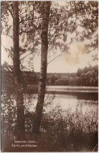 Osterode (Ostpreußen) Ostróda Partie am Silbersee Fotokarte  1928