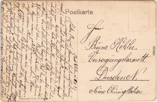 Bad Elster Villen, Rosengartenpartie colorierte Ansichtskarte  1921