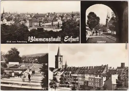 Erfurt Blick vom a über die Stadt, Domblick, iaa-Irisgarten, Krämerbrücke 1976