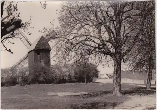 Foto Ansichtskarte Werder (Havel) Blick auf die Alte Mühle 1969